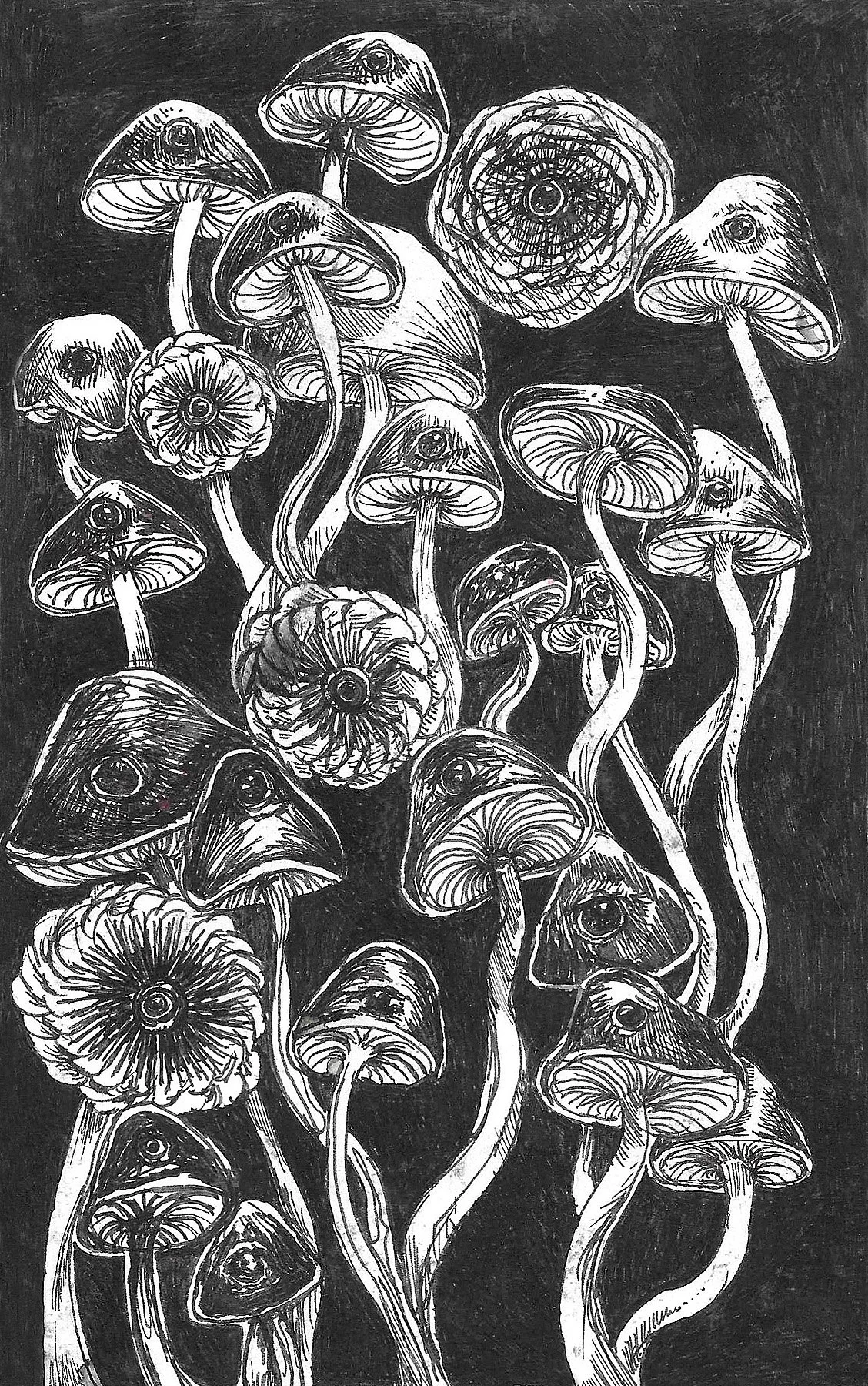 Mushrooms with Eyes.jpg