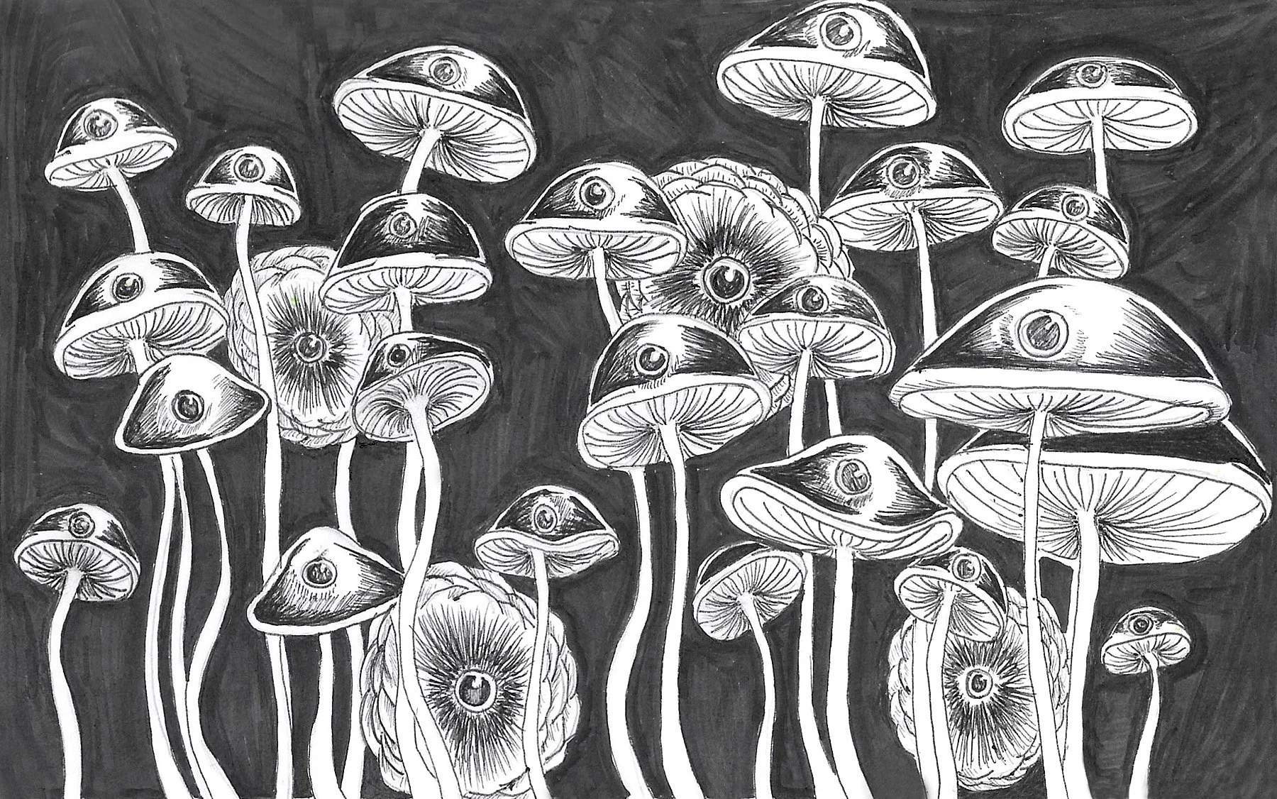 Mushrooms with Eyes_2.jpg