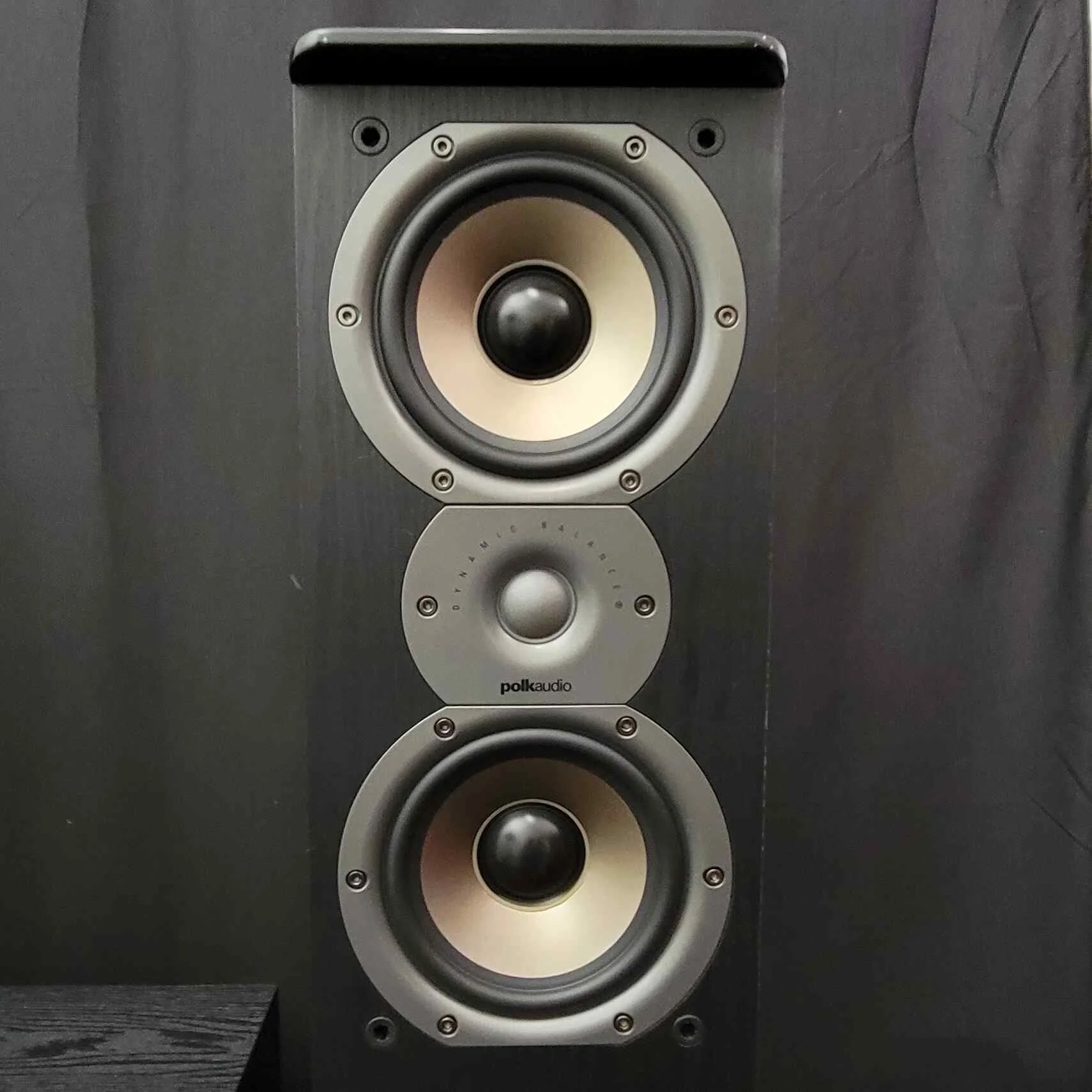 Three PolkAudio Speakers: (2) TSi300 