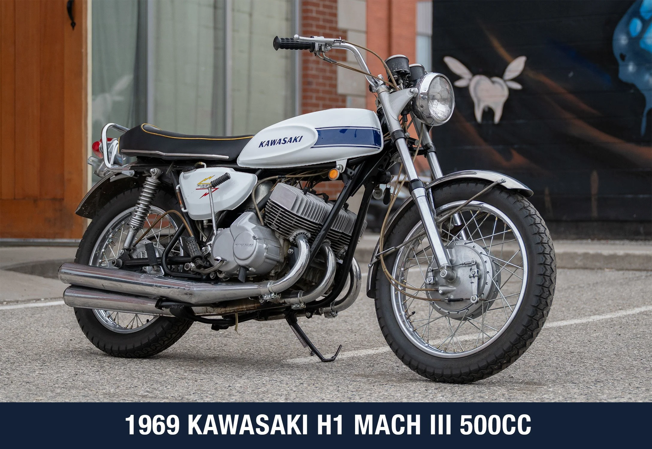 kawasaki-1.jpg