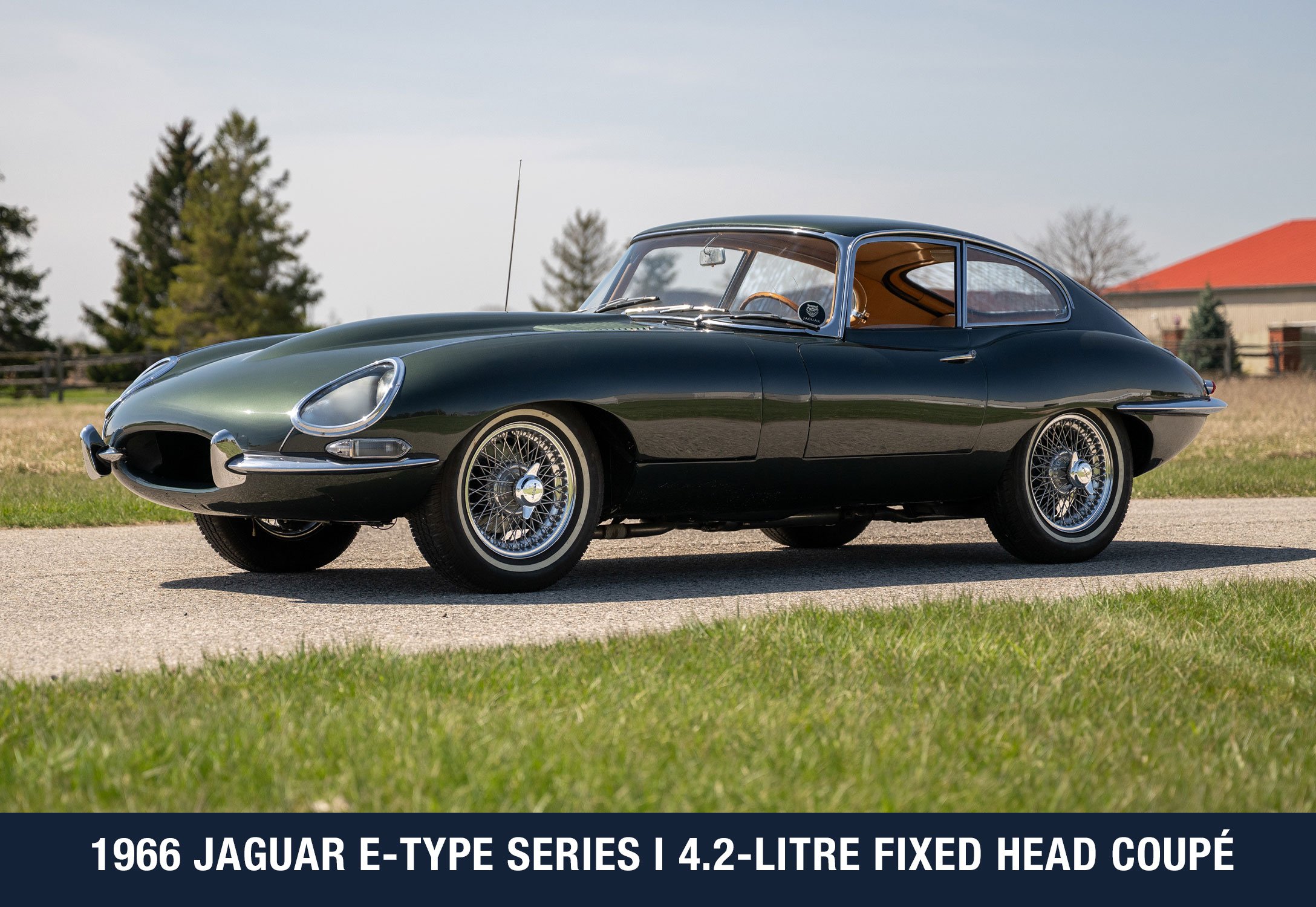 jaguar.jpg