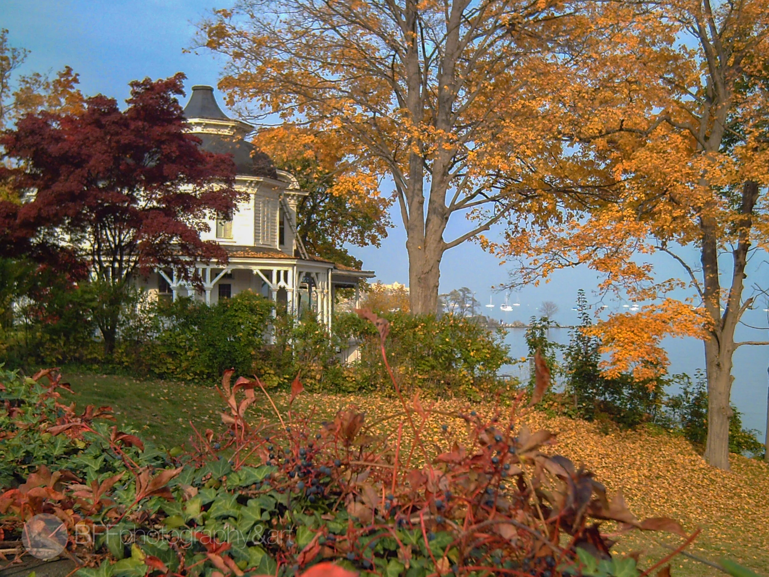 PICT0092.jpg
