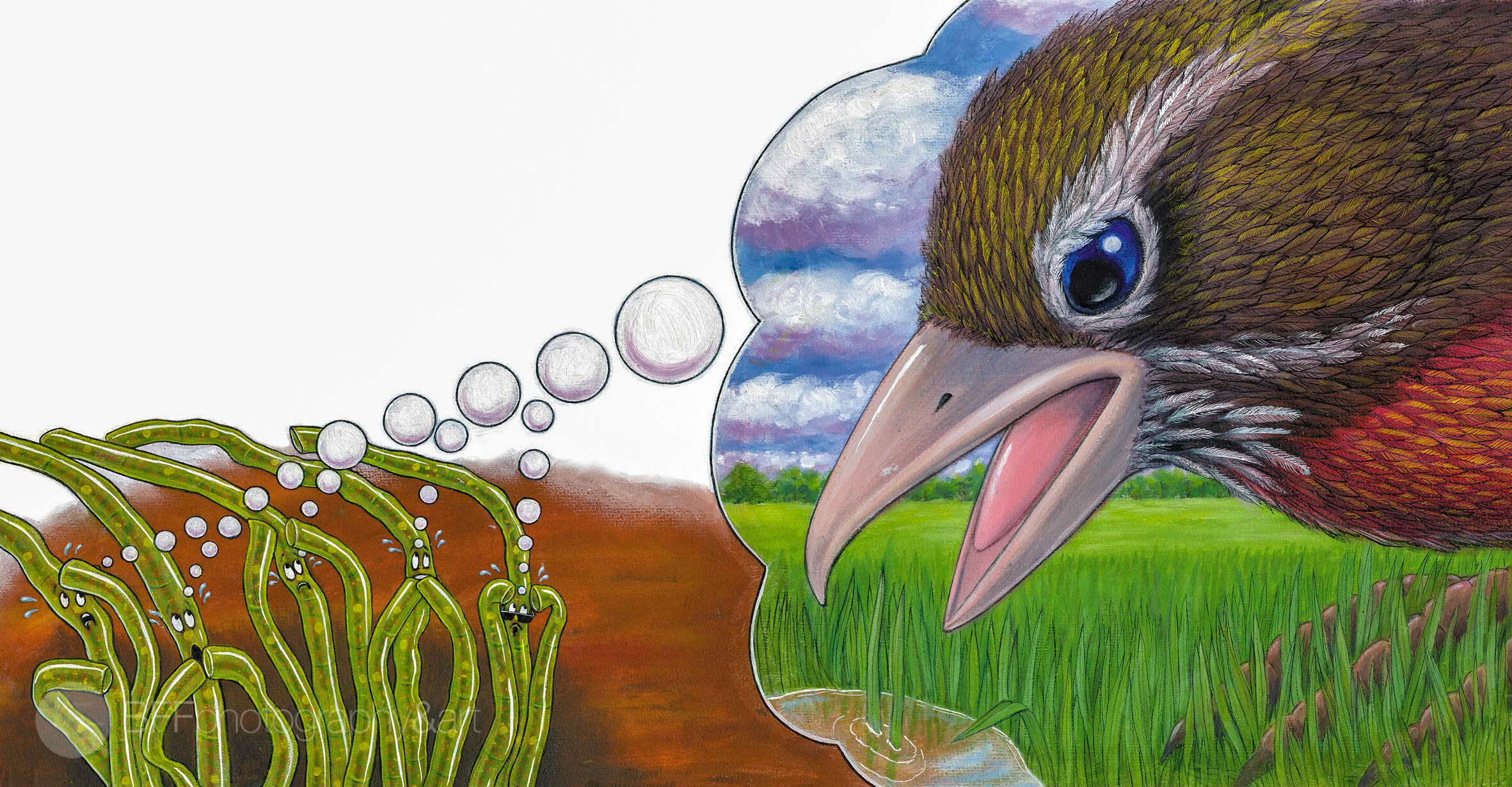 From "Amoeba Hop"
