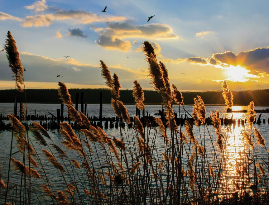 Old Pier Sunset.jpg