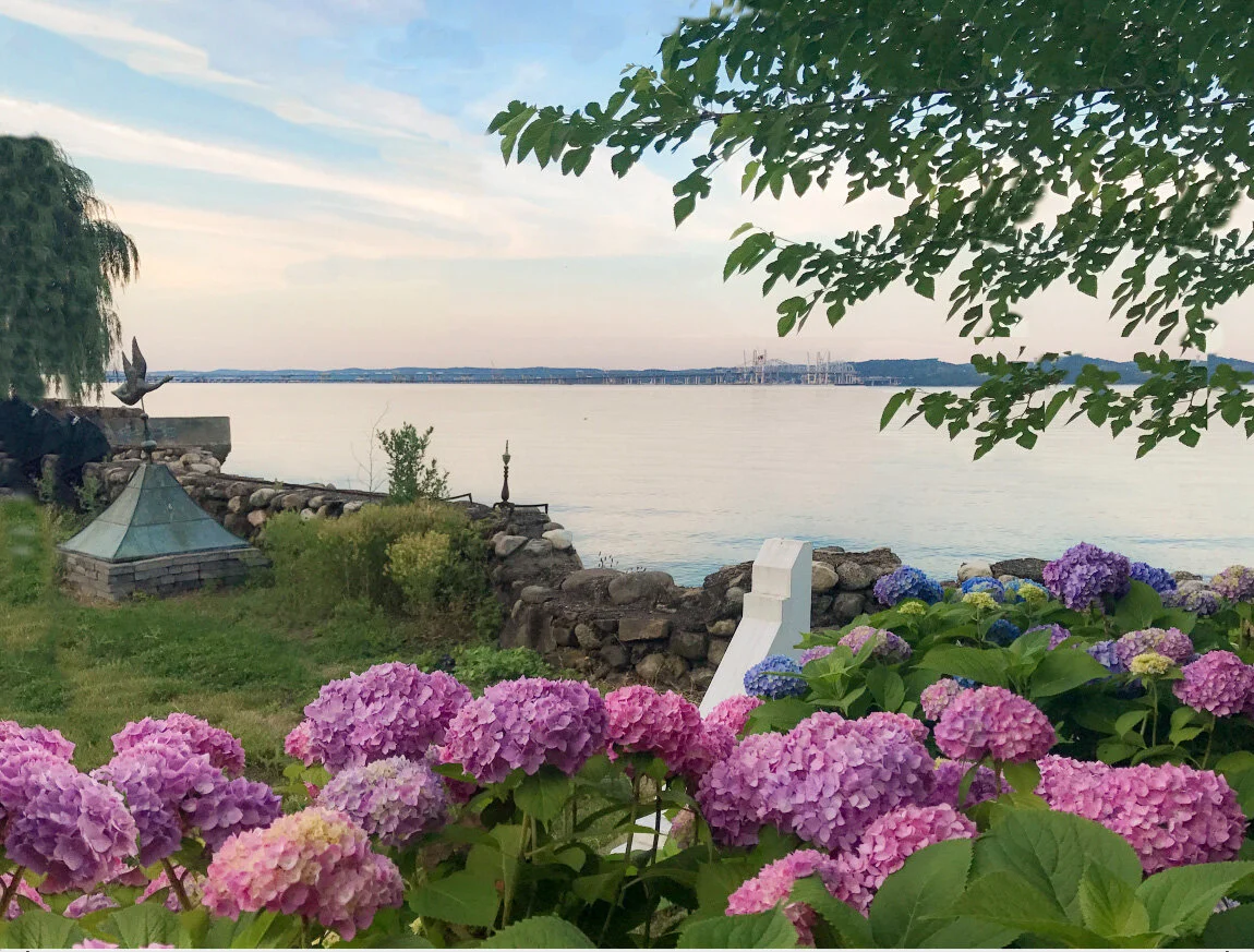Lola's HydrangeasFront.jpg