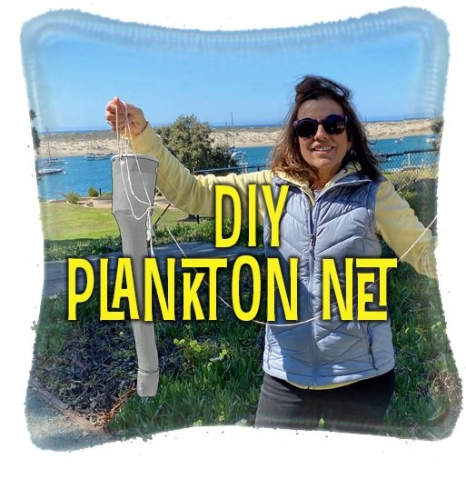 DIY Plankton Net