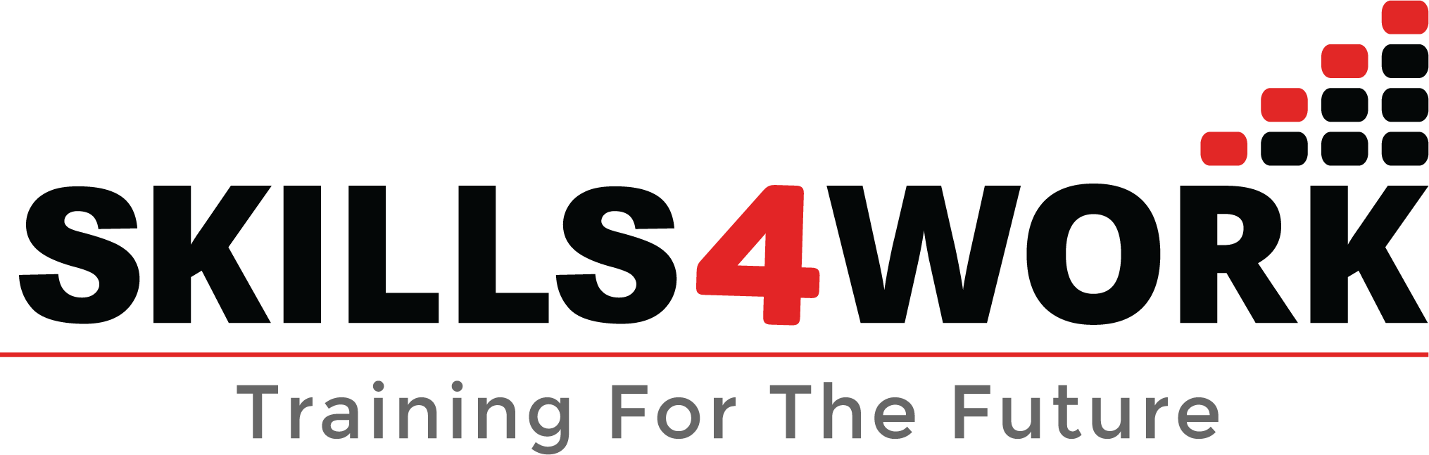 S4W_logo.png