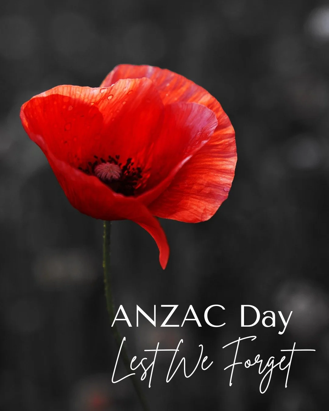 Today we remember the courage, sacrifice and service of the men and women who have served.

Let us pause, reflect and give thanks for those who stood for something bigger than themselves.

Lest we forget.
