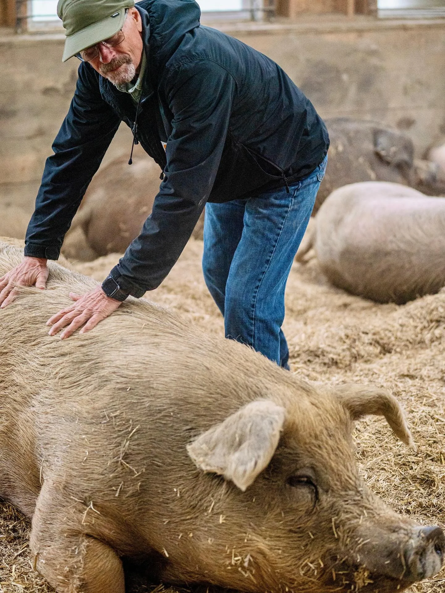 &ldquo;The Great Lakes, a vital freshwater expanse for millions, face an ongoing environmental crisis. Beneath the vast waters lies a significant threat: pollution stemming largely from agricultural runoff. This flow of excess nutrients like phosphor
