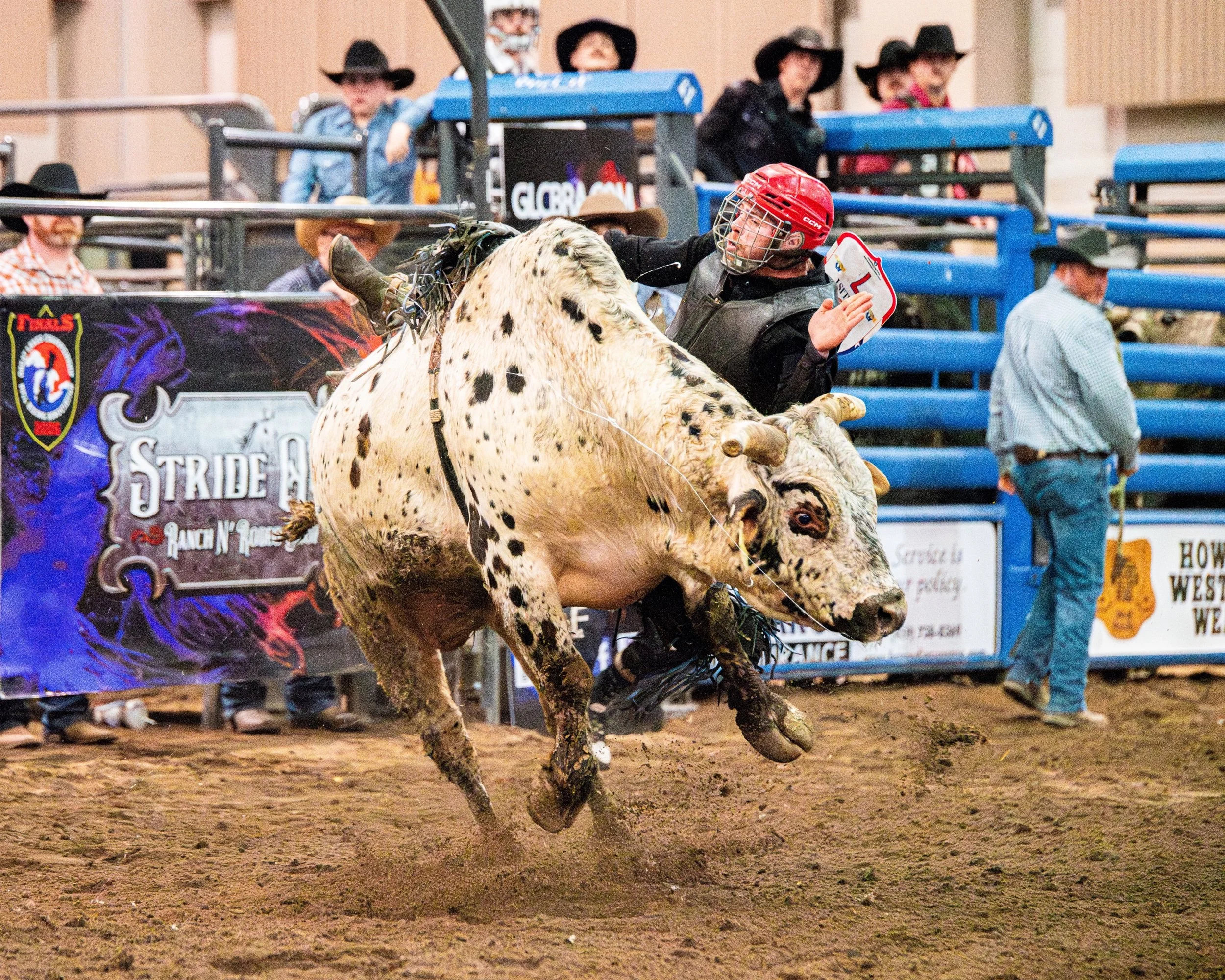 Bull rider Kolt Achenbach (7) is bucked from his mount during the Great Lakes Region PBR 2025 Championships at the MSU Pavilion in East Lansing, Mich., Saturday, March 7, 2026. The event, held as part of the annual Michigan Horse Expo, featured the t