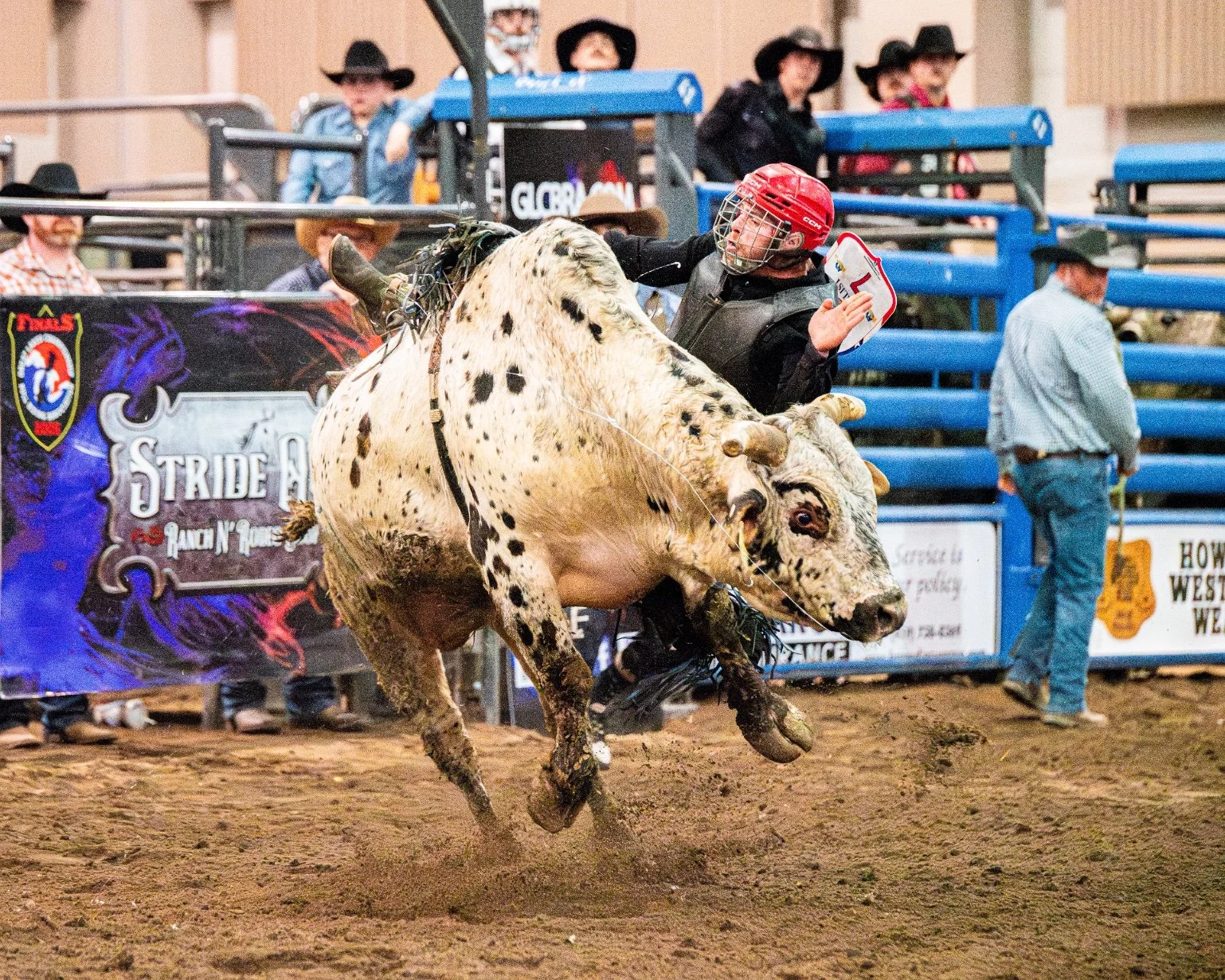 Bull rider Kolt Achenbach (7) is bucked from his mount during the Great Lakes Region PBR 2025 Championships at the MSU Pavilion in East Lansing, Mich., Saturday, March 7, 2026. The event, held as part of the annual Michigan Horse Expo, featured the t