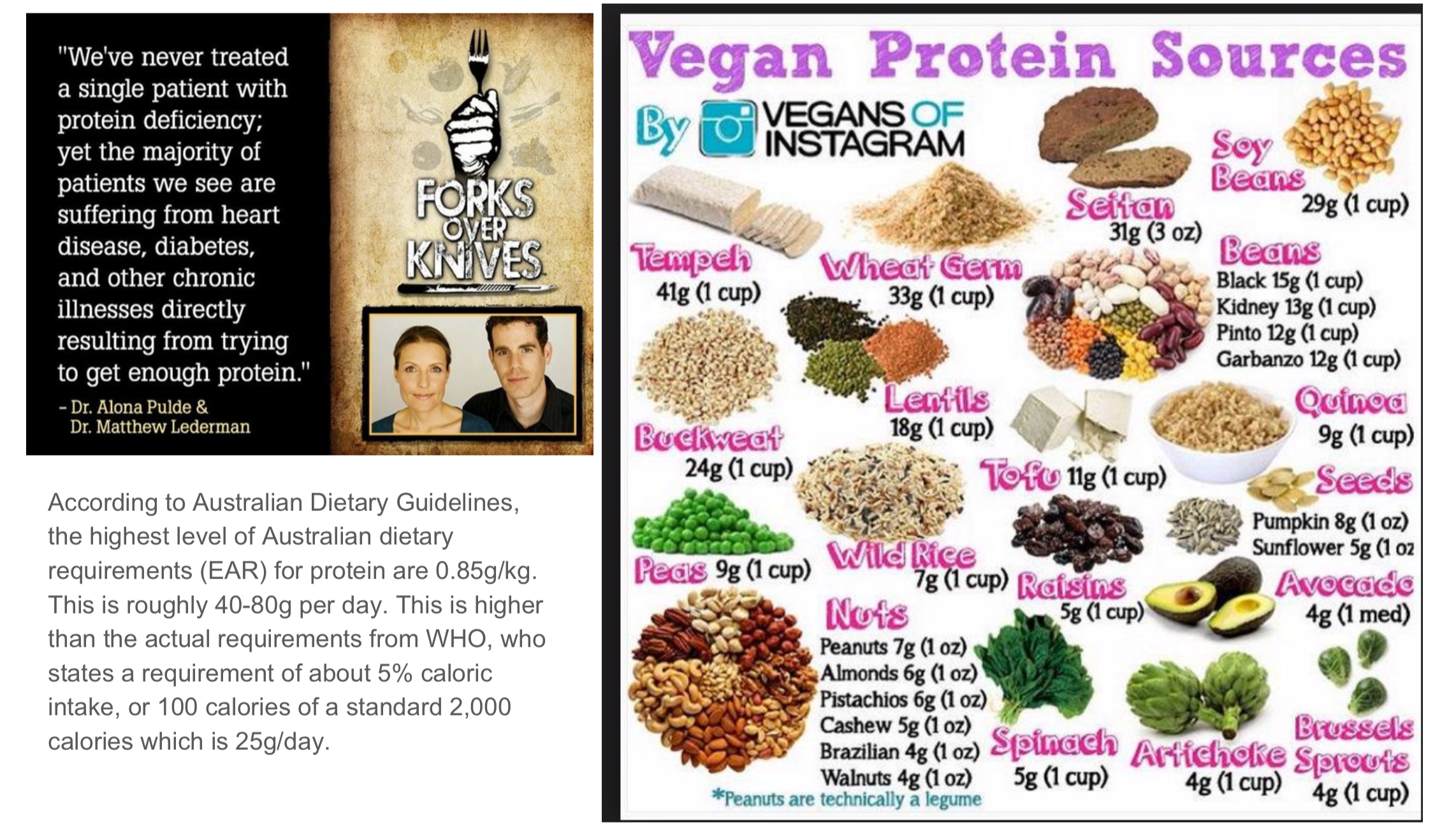 BUT WHERE DO YOU GET YOUR PROTEIN????!!!!