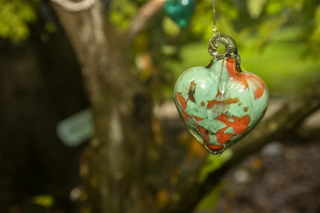 heart tree.jpg