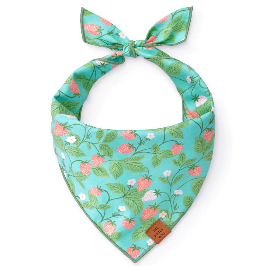 TheFoggyDogBerryPatchDogBandana.jpg