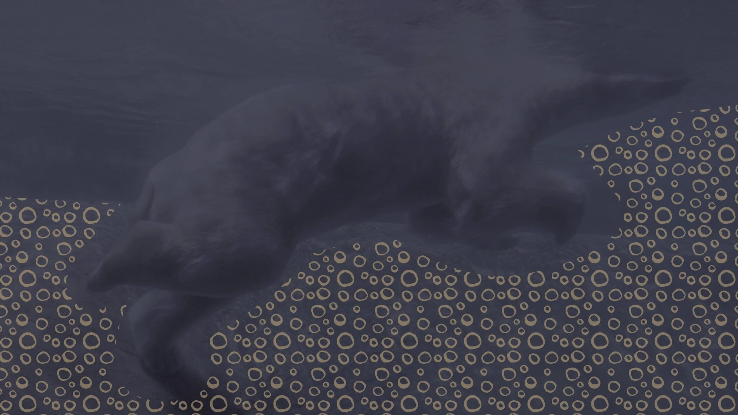 Mis dos pasiones: tomar café y críticas negativas