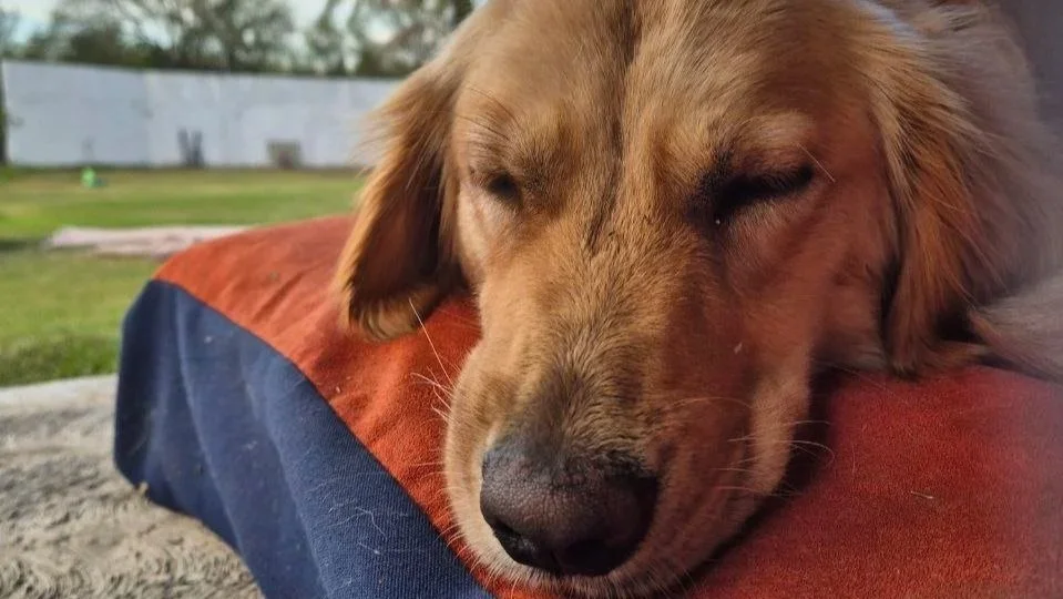 El tiempo libre no es un premio