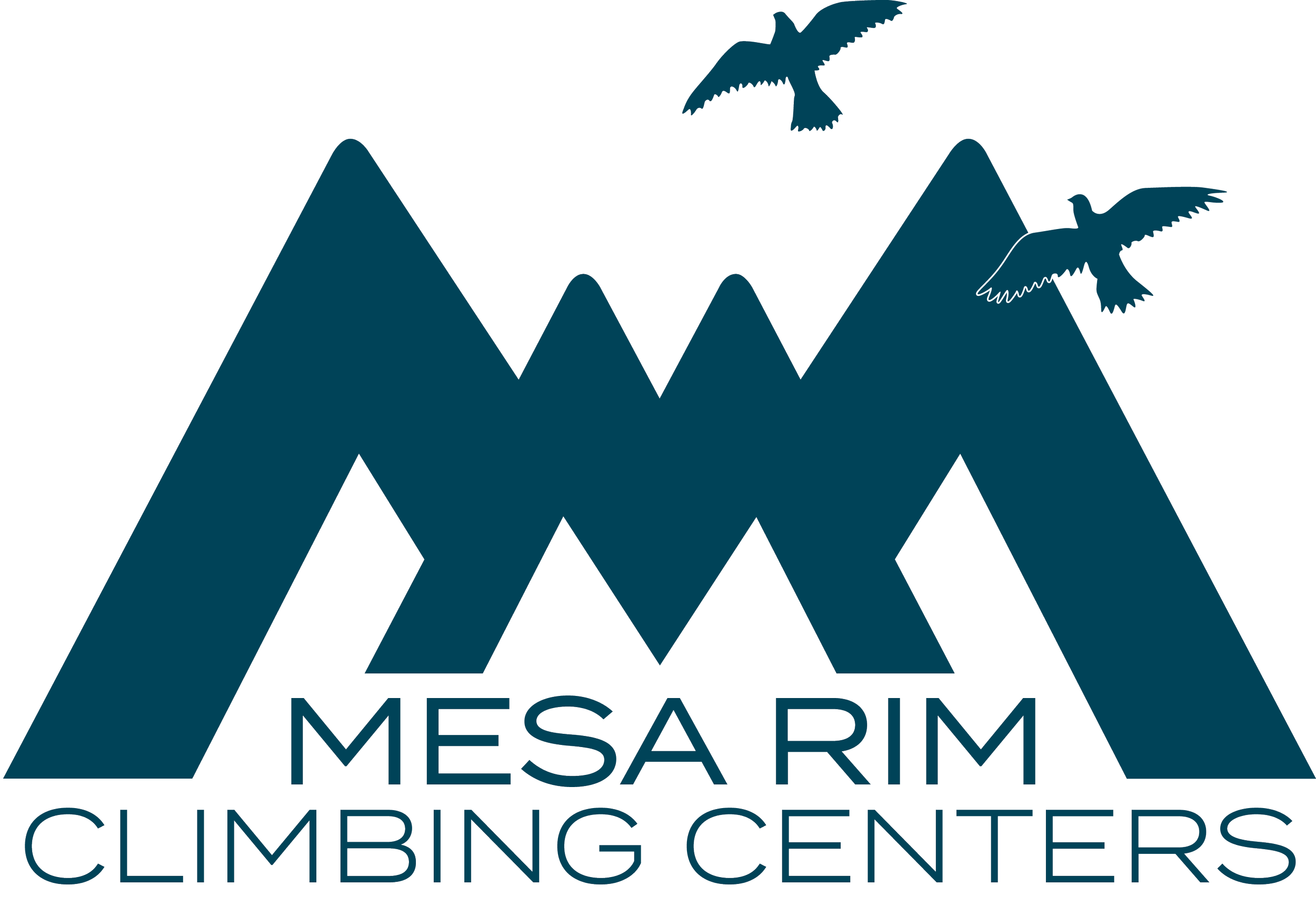 MesaRim Blue Logo.png