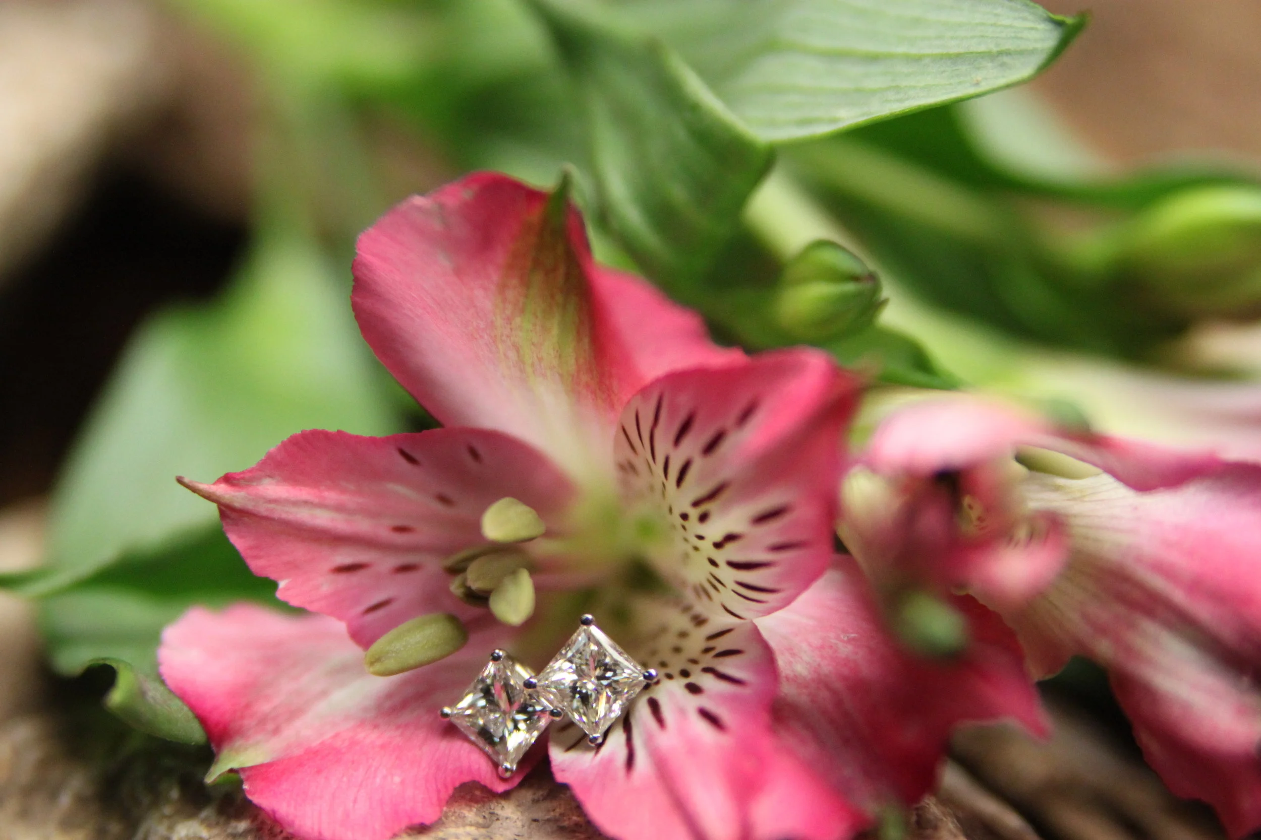 Custom Princess Cut Diamond Studs