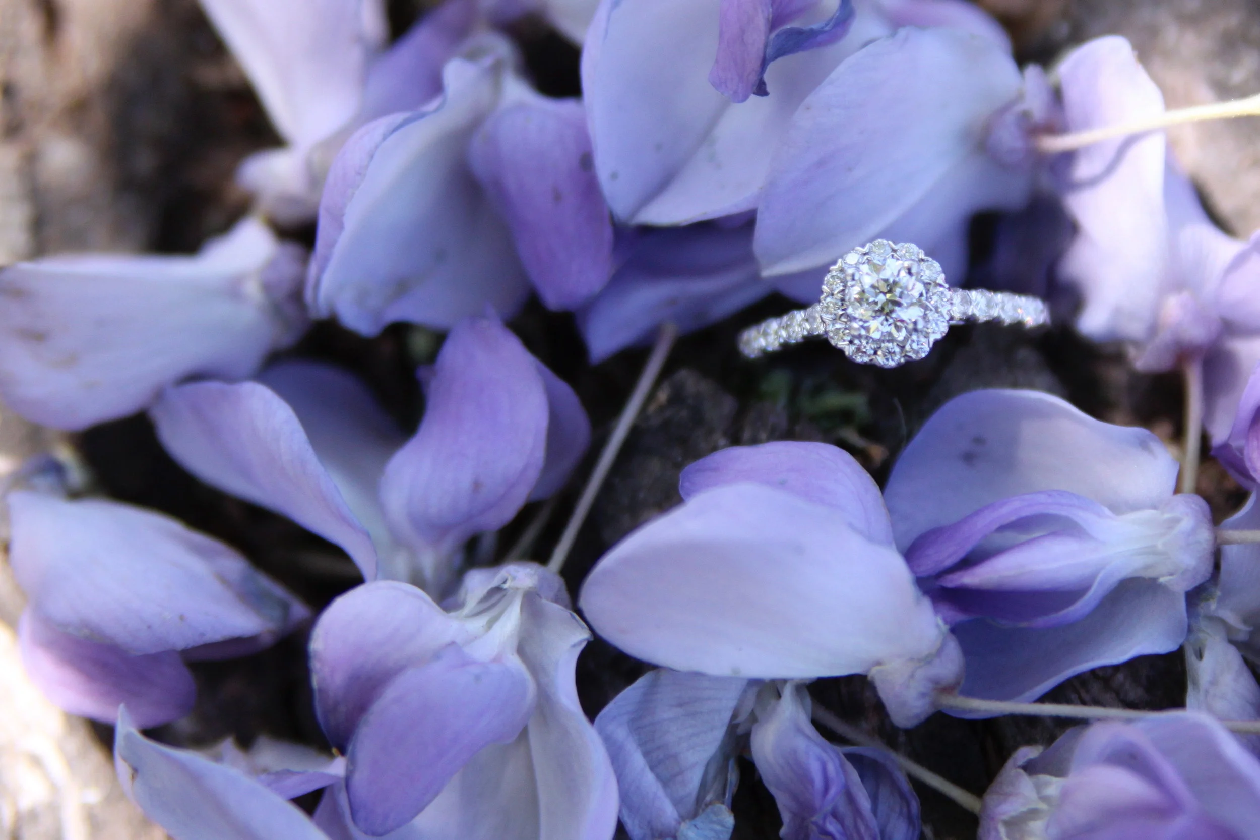 White Gold Round Diamond Halo Custom Engagement Ring