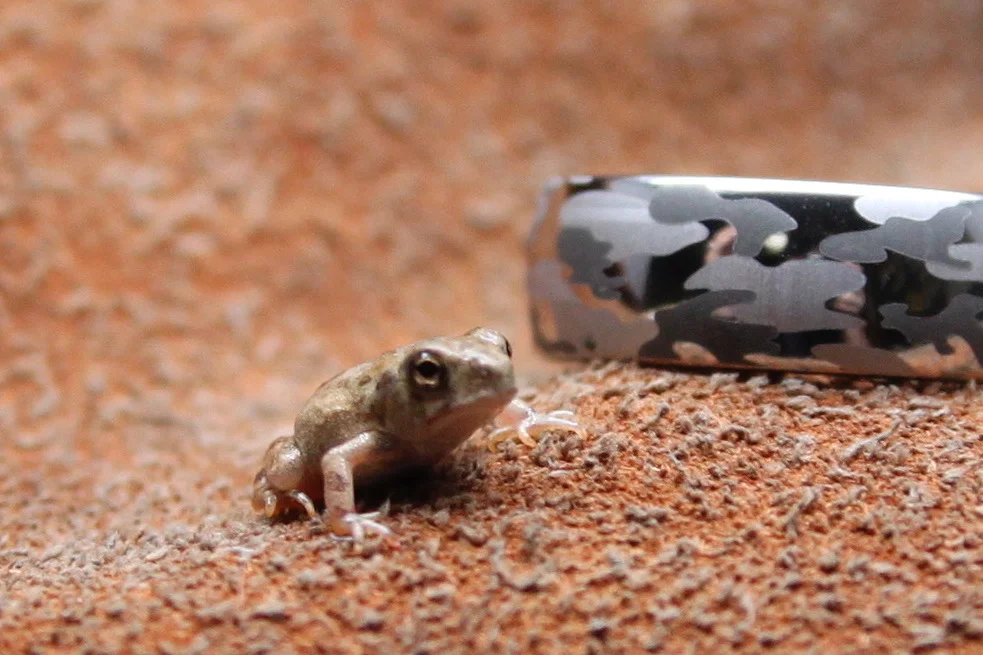 Camo Wedding Band with Frog