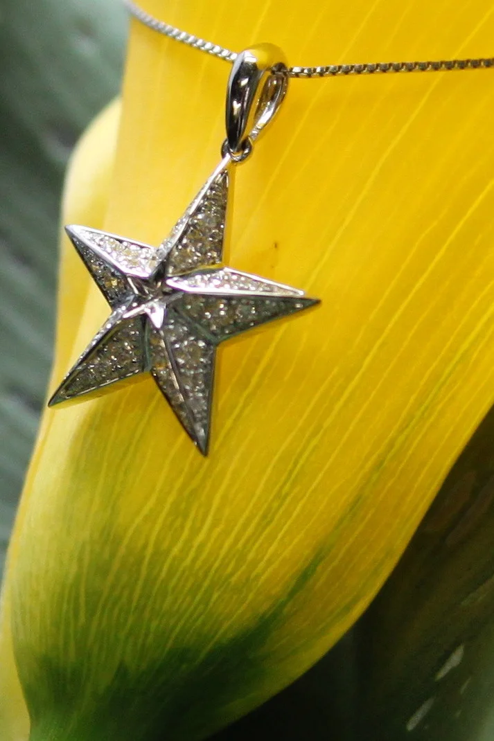 Custom Lone Star Pendant