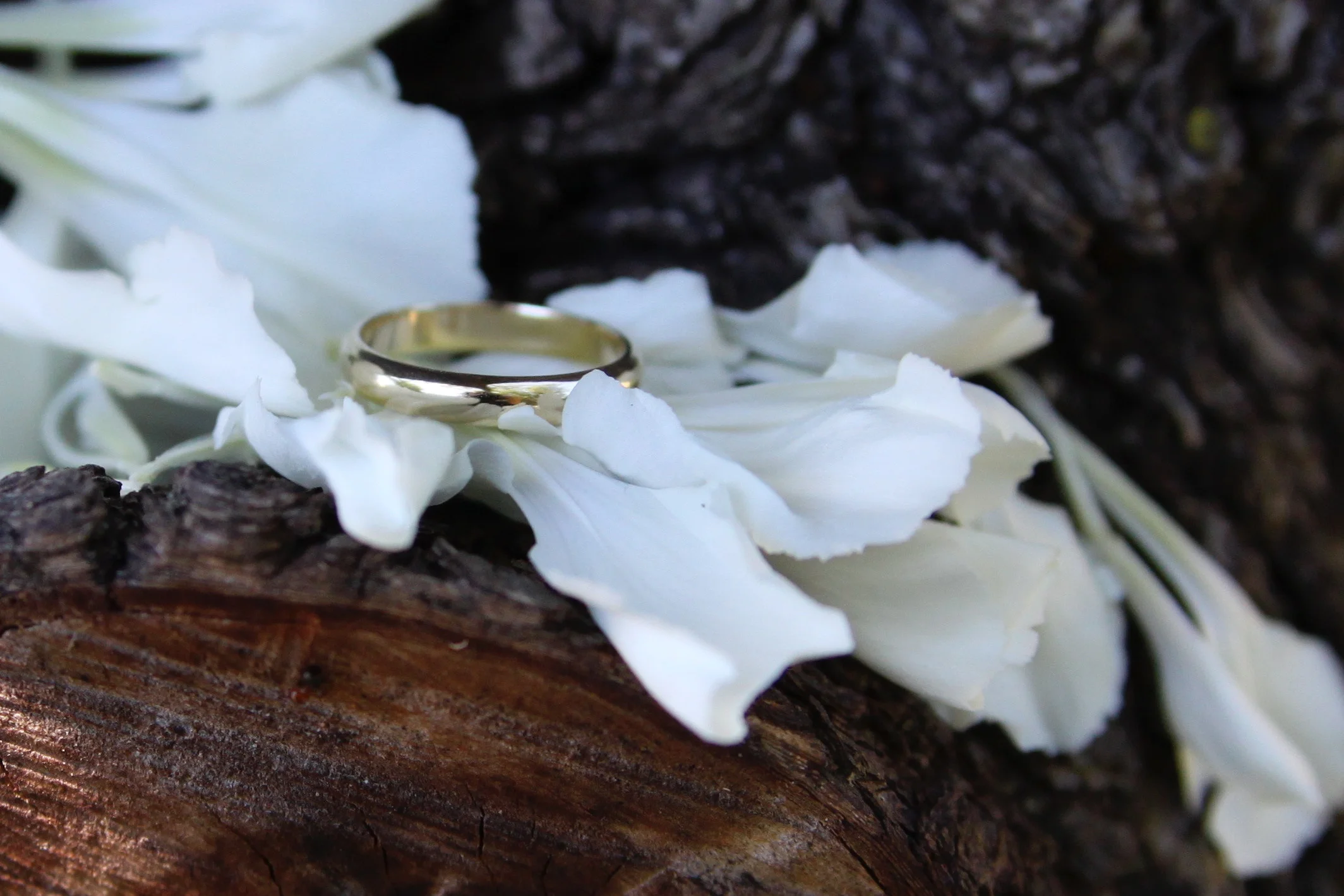 Custom Comfort-Fit Wedding Band