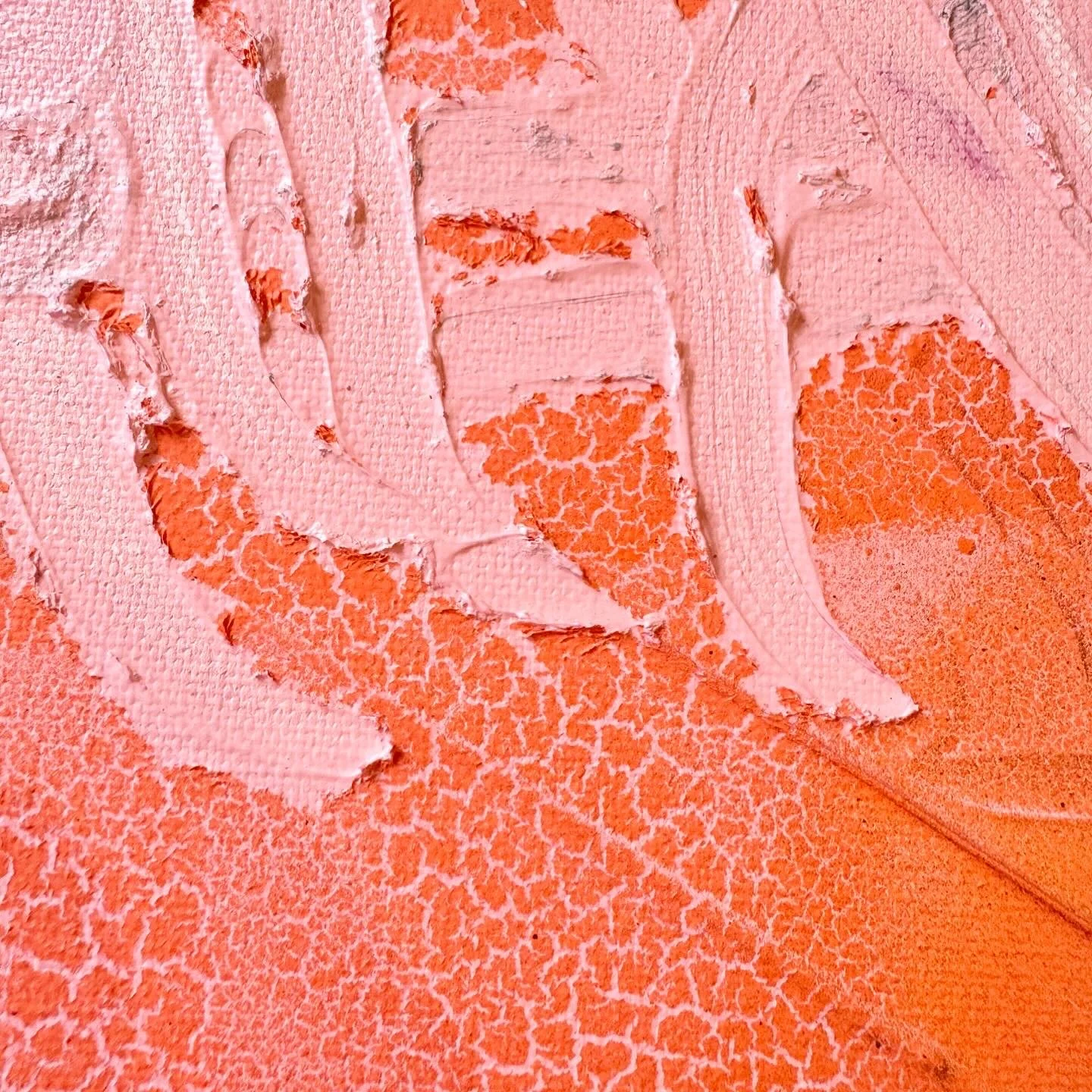 B443F697-78C5-4C3A-9560-C1571D0BB37C 2.JPG