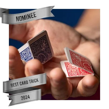 24675a-67c1f2ee2b9f4.jpg