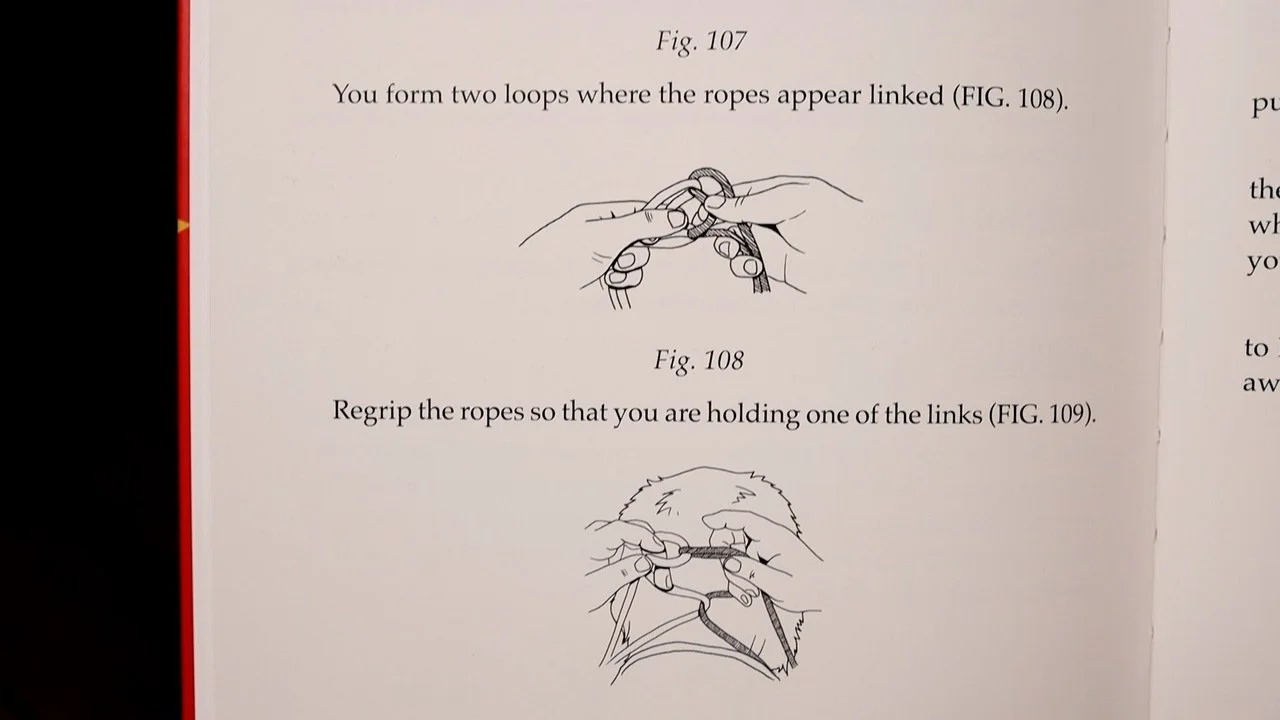 28333a-6ad63a3f8677e.jpg