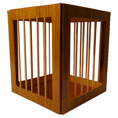 Appearing Bird Cage by Sumit Chhajer