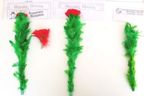 blomings.jpg