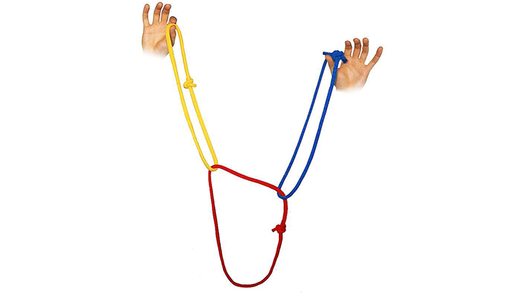 81071-alt1.png