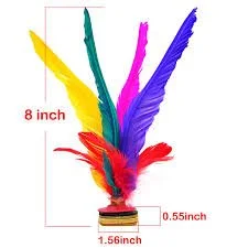 Traditional Chinese Shuttlecock -  Chinese Jianzi