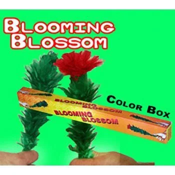 Blooming Blossom - Regular