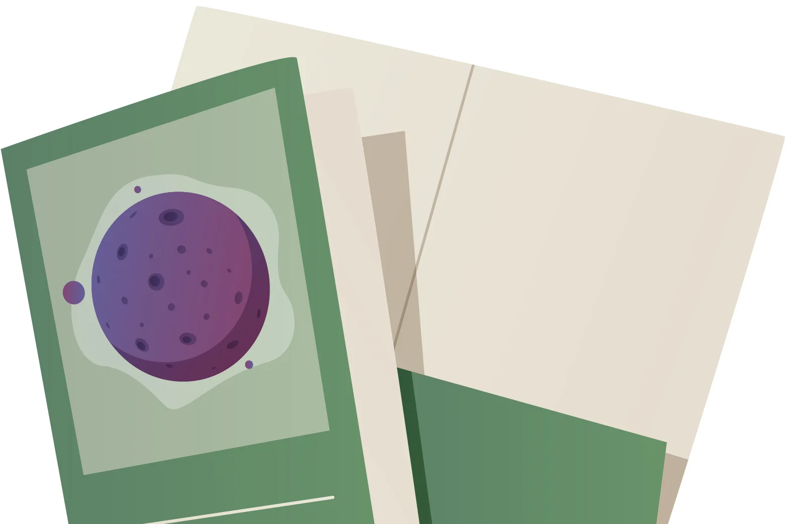 Presentation Folders