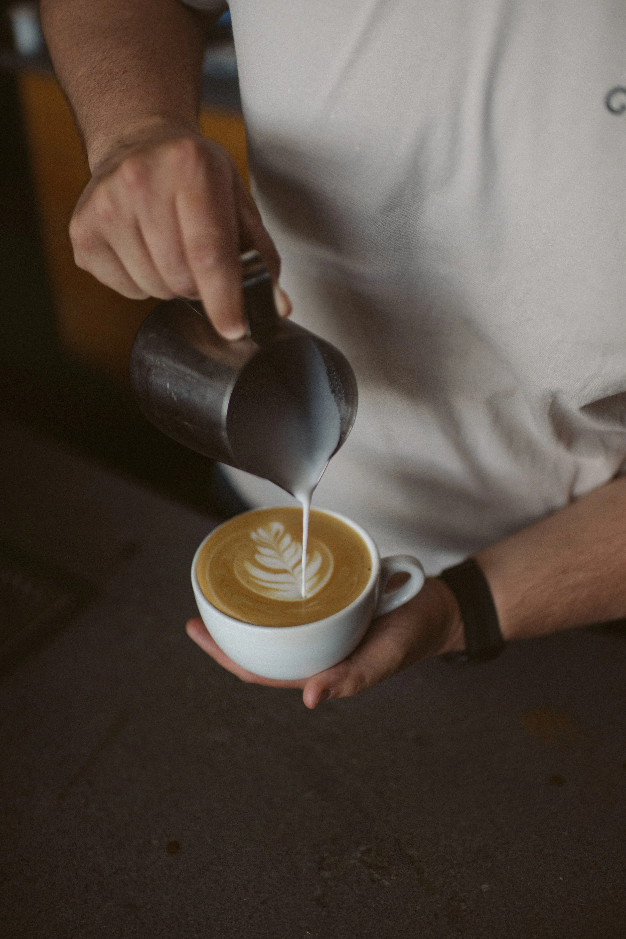Latte Tyler Heron House 6.jpg