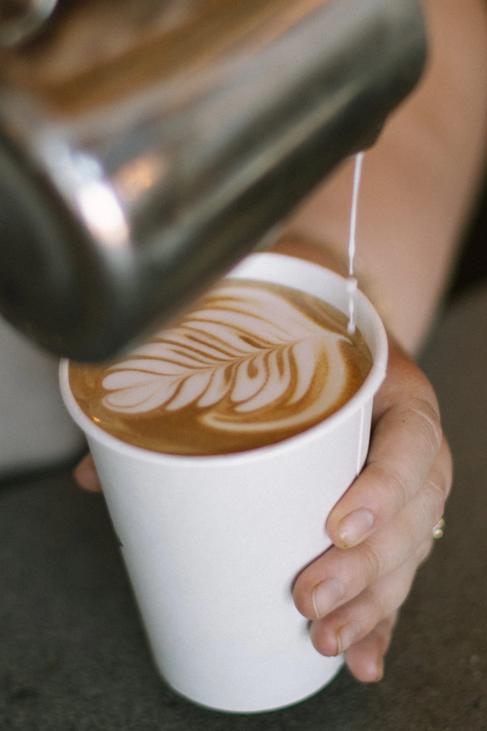 Thump York Cafe Feb Heron House Feb 79-2.jpg