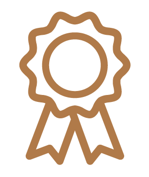 A simplified, stylized drawing of a ribbon award with a circular center and two ribbons hanging below.