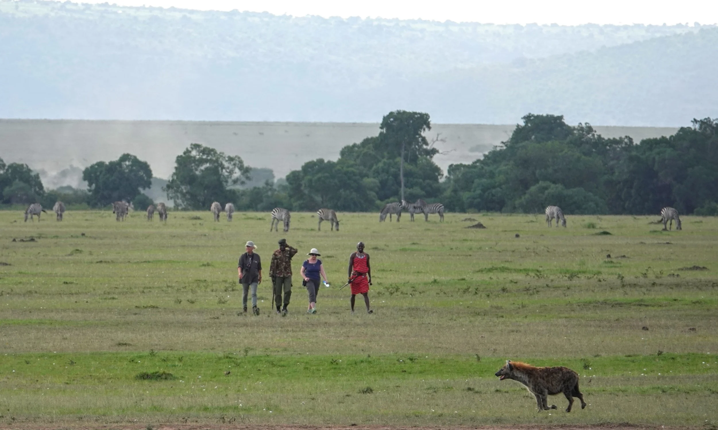 Making Tracks: Storytelling on Safari