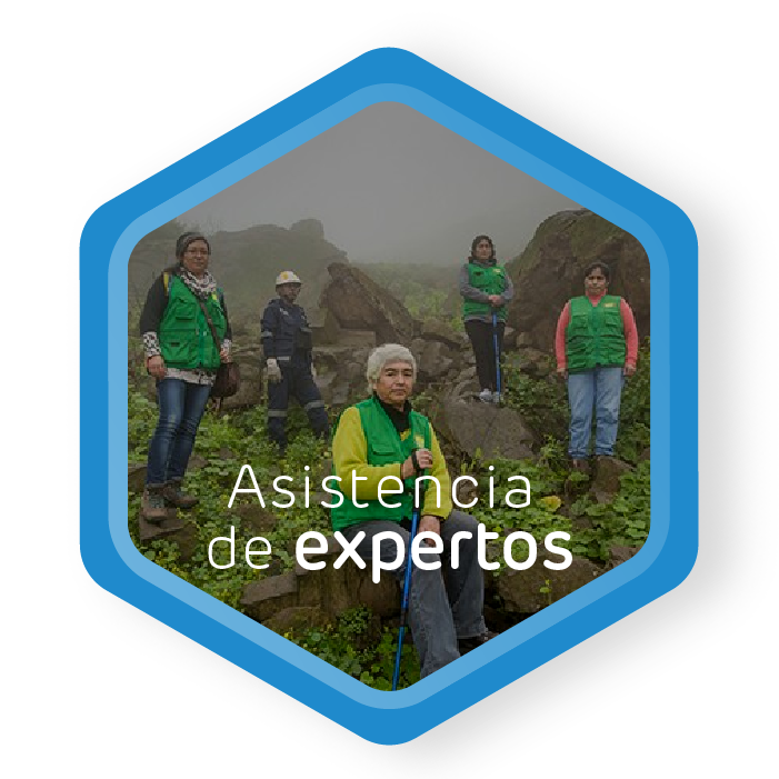 Pasos Experiencia Resilientes-04.png