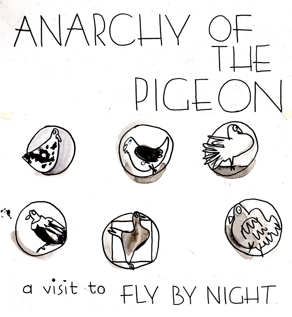 Anarchy of the pigeon p0.jpg