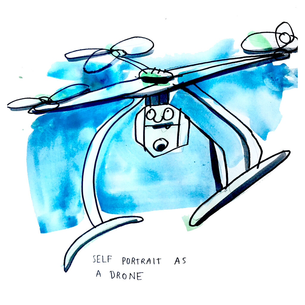 2Front page illustration drone selfie Fricas website 2020.jpg