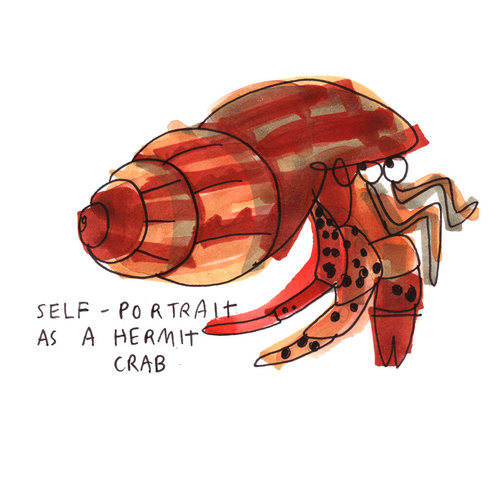 3Front page illustration hermit crab selfie Fricas website 2020.jpg