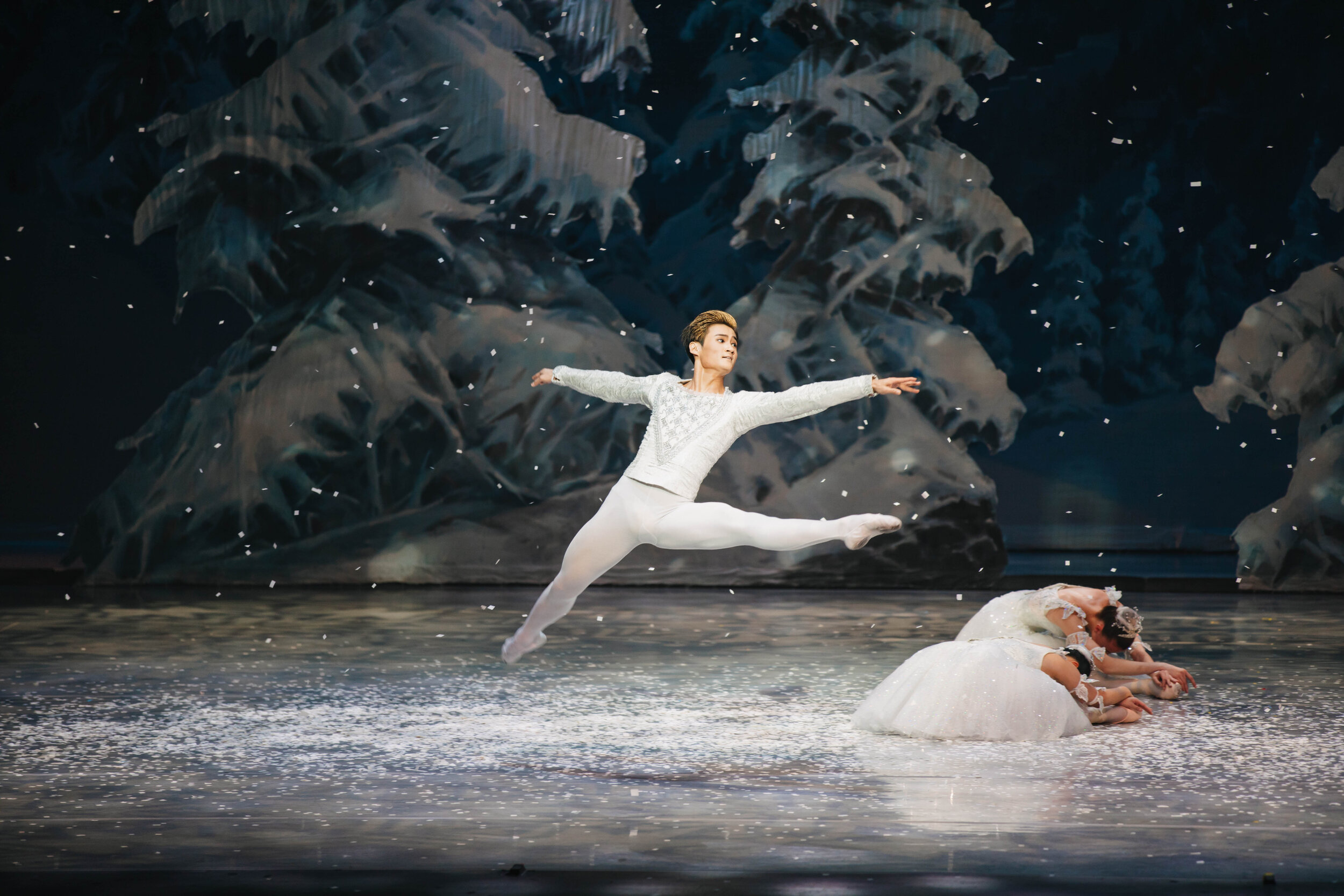nutcracker-226-_DC_5445.jpg