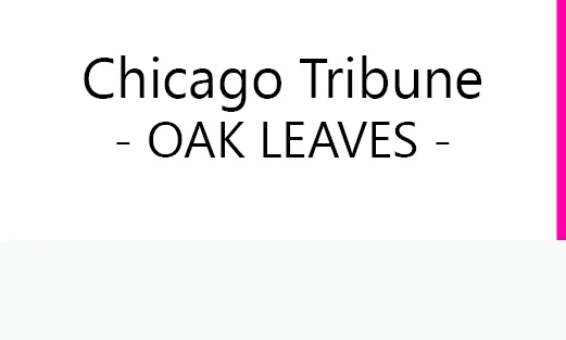 Village trustee, Oak Park and River Forest High School ballot orders set for spring elections