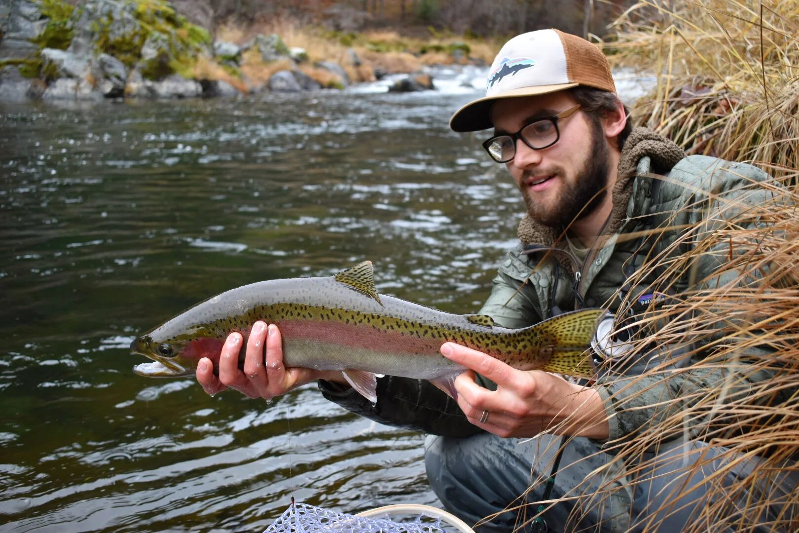Colin McCloskey: Brook Trout