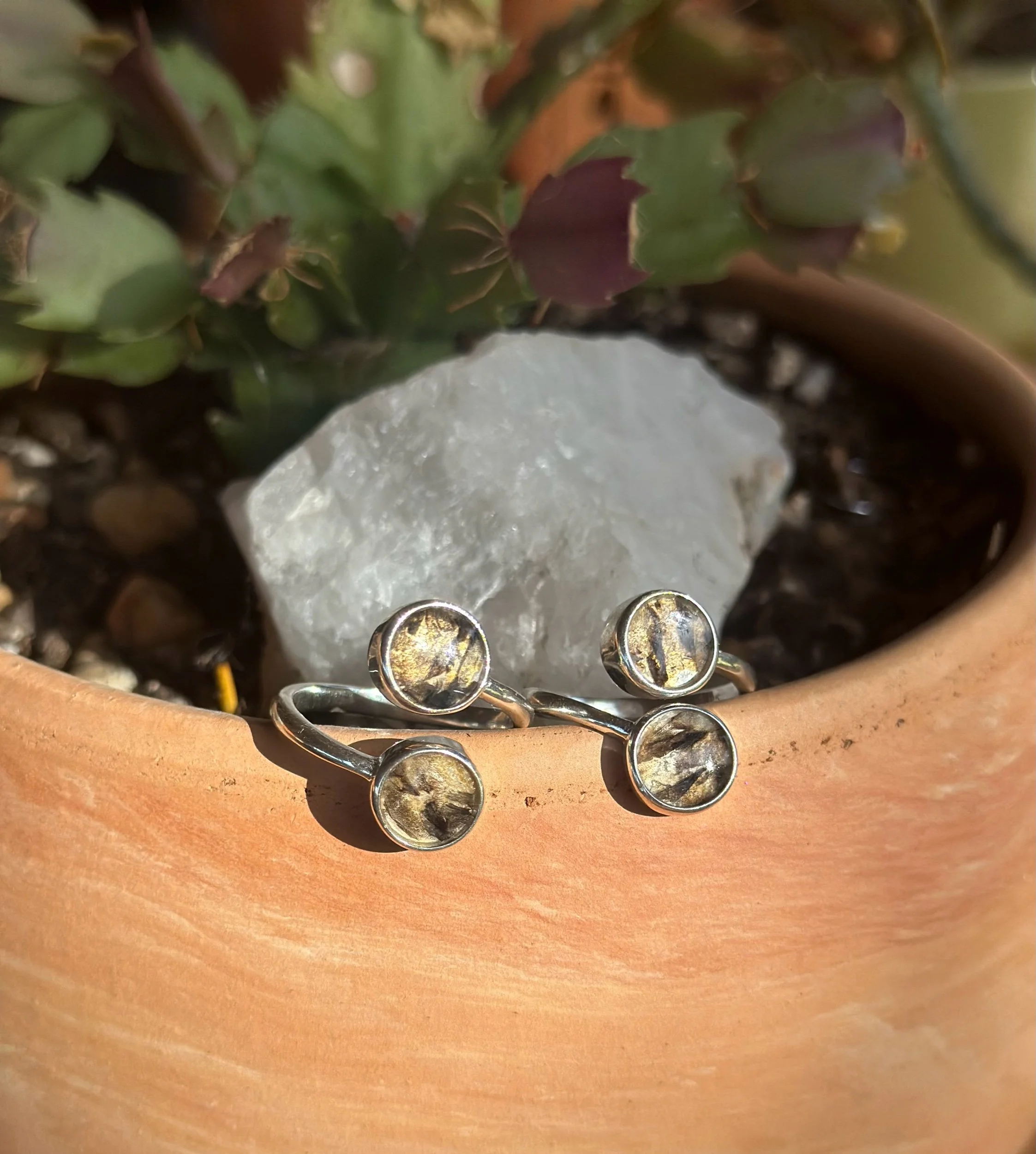 243F603A-74A4-43AB-B5FF-483C8304A5C6