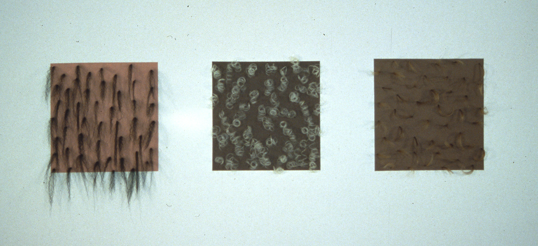 Color Samples