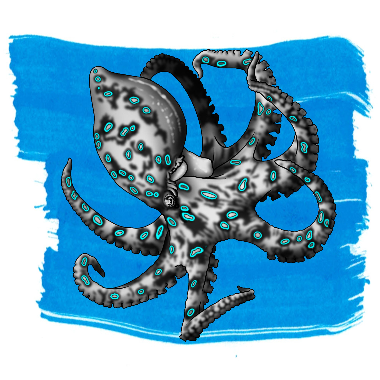 aflevering Versterken favoriete Blue-Ringed Octopus Blue™ — Anderillium™ Inks