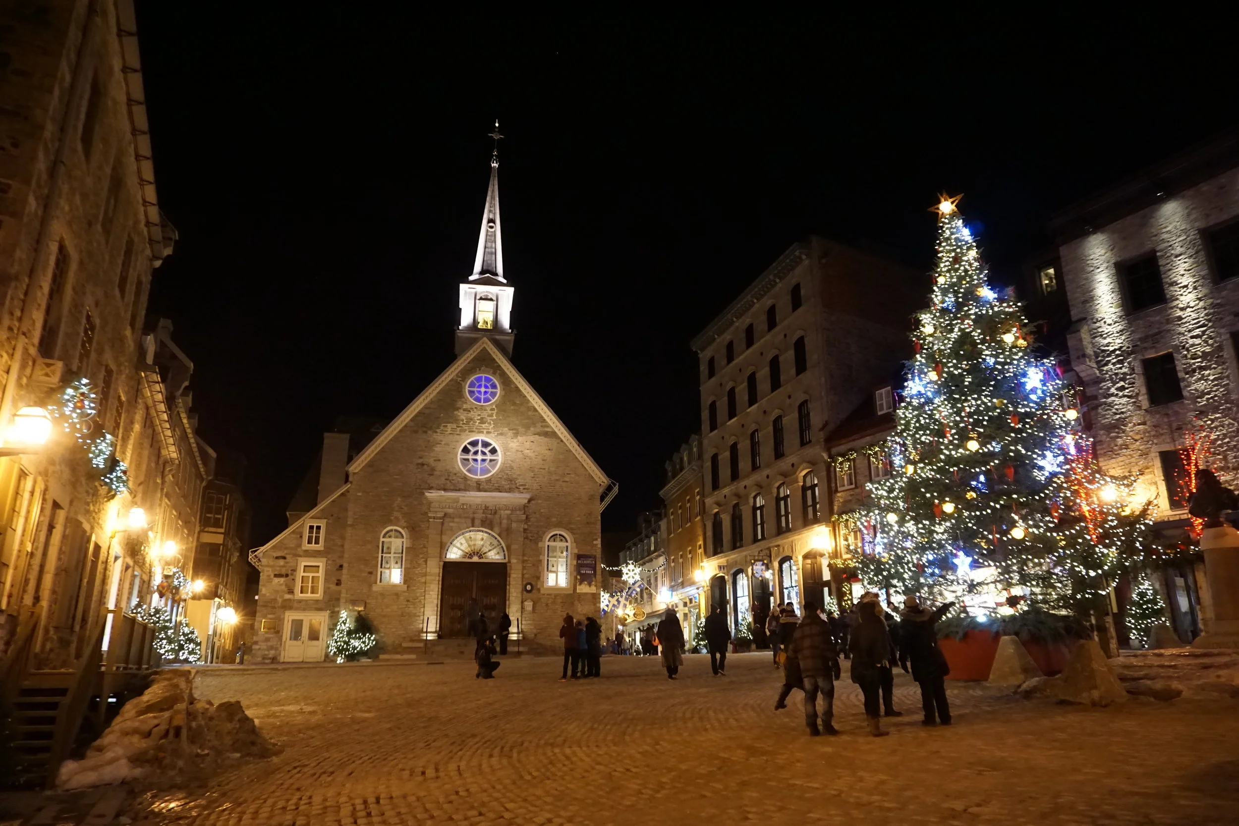 dsc04435-1.jpg